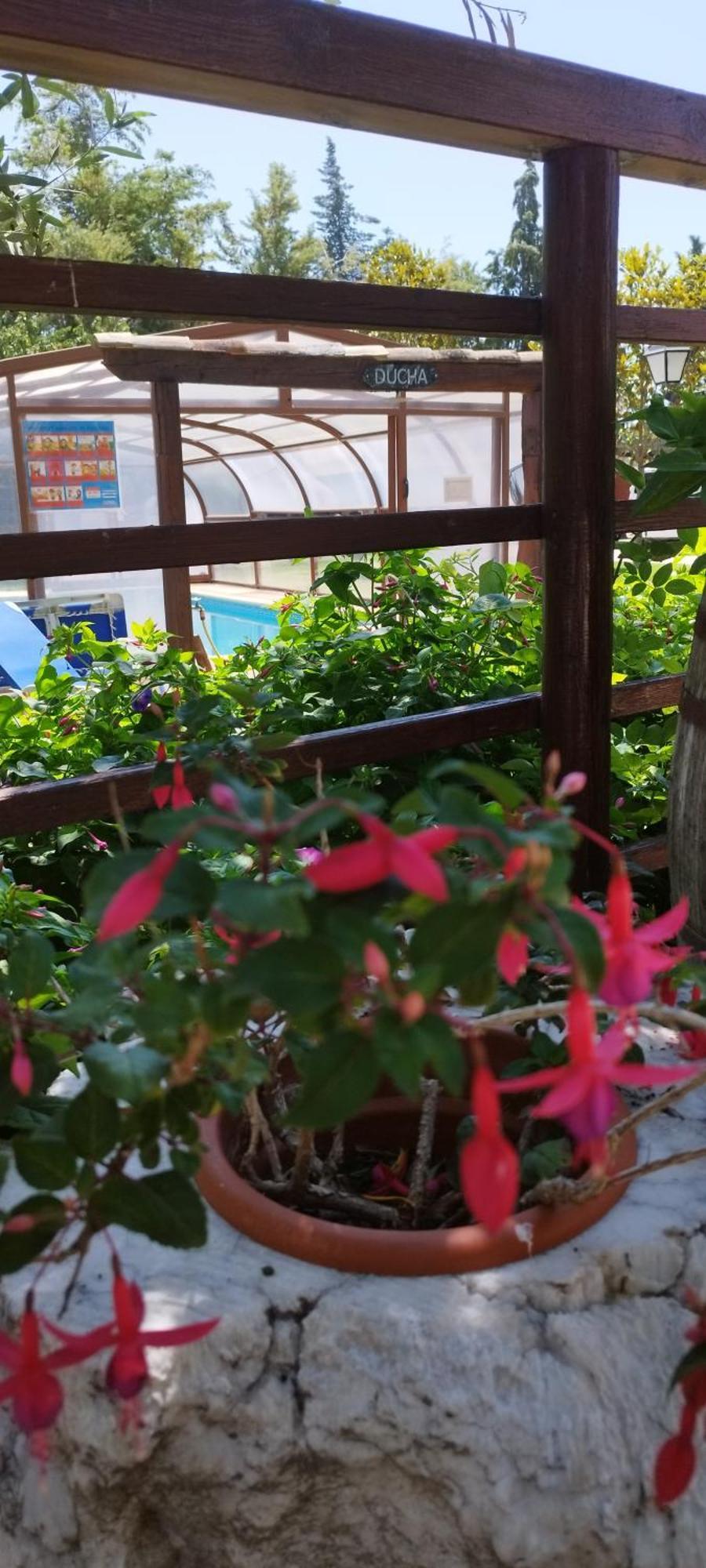 Rincon Del Cierzo Guest House Lecera Ngoại thất bức ảnh